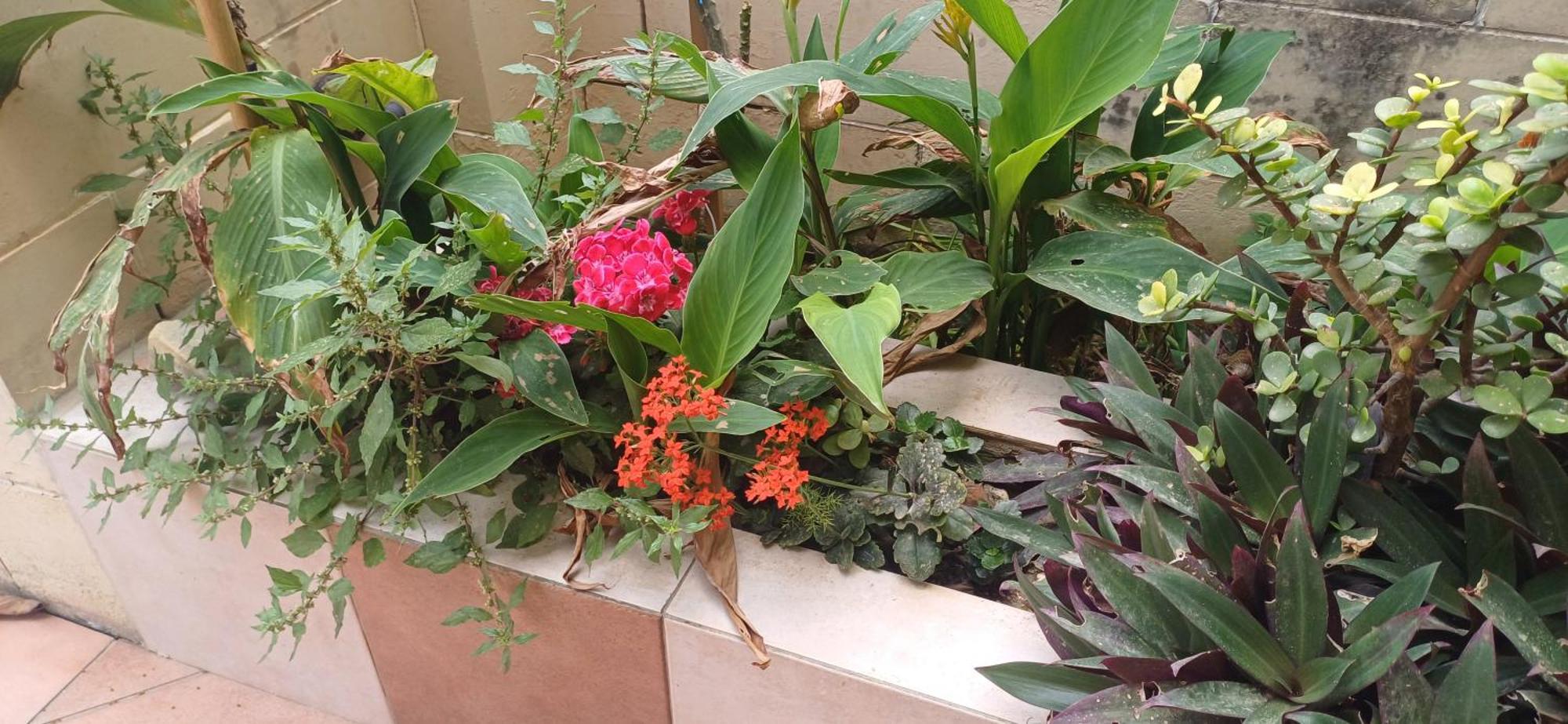 Cosy Spacious Maisonette Marsaskala Luaran gambar